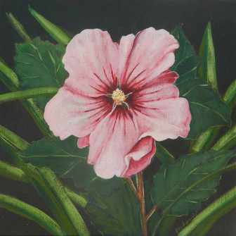 Rose Of Sharon Two
